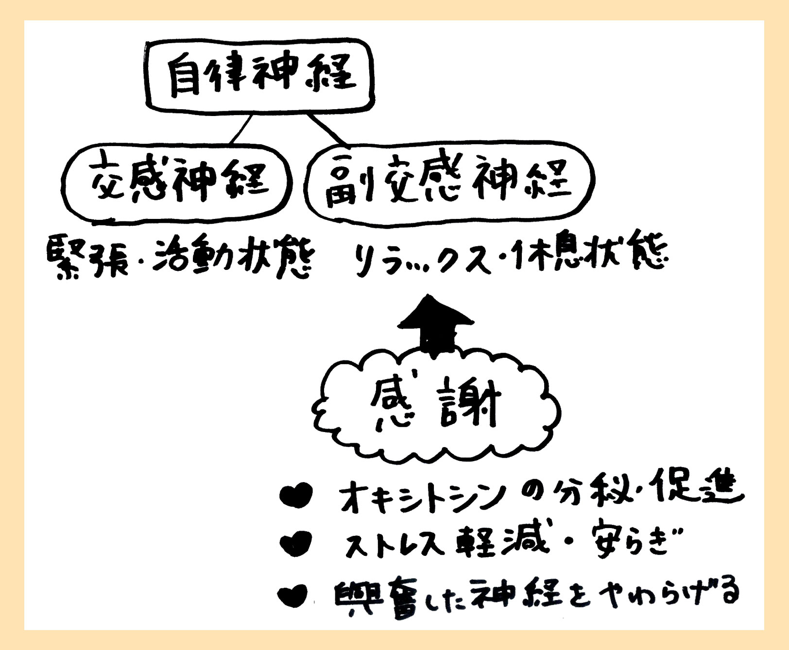 自宅に居ながら免疫力up 感謝 が免疫力を高める仕組み 健康 仕事 時短 ノート術についてのブログ